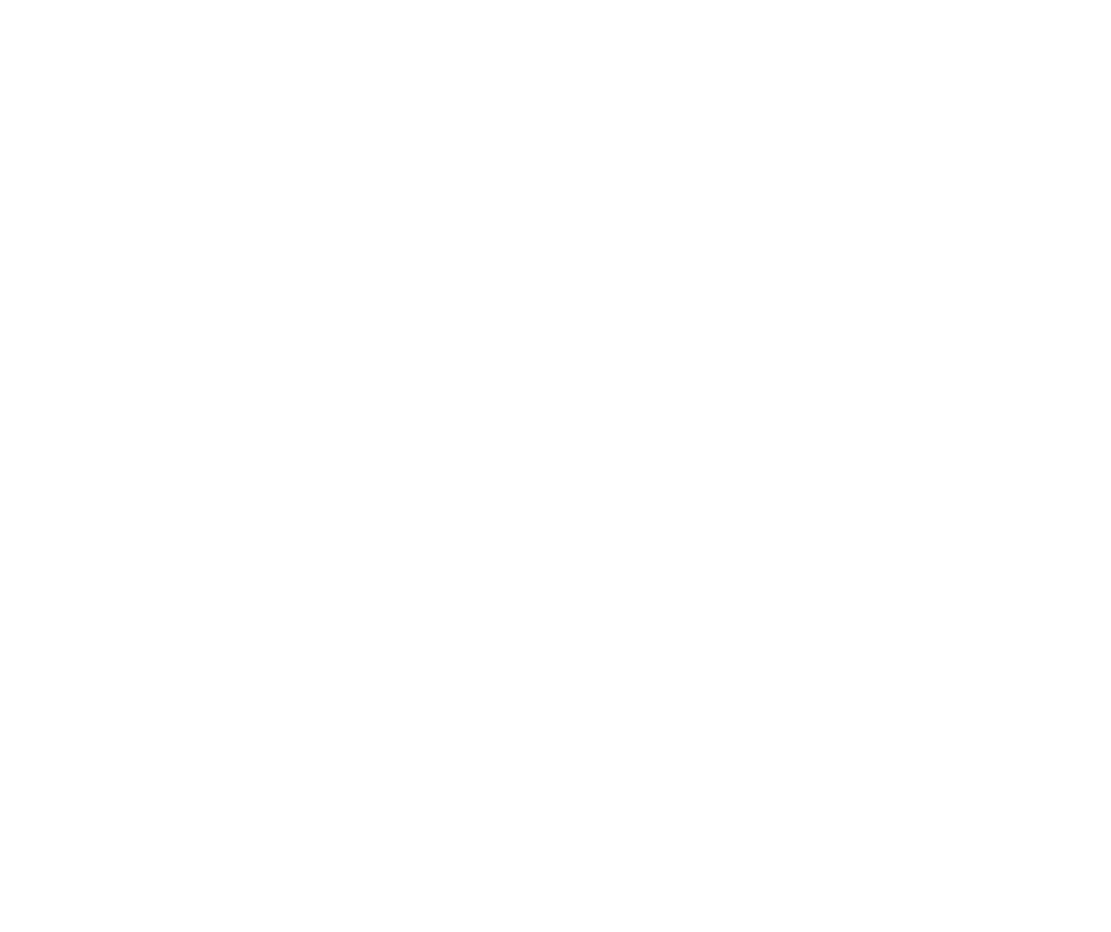 Lisa Raschelle Photography